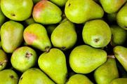 Chilean pears to enter Chinese market