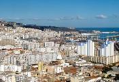 China, Algeria develop fruitful cooperation under BRI: ambassador