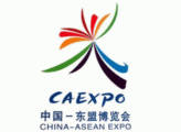 China-ASEAN expo seminar held to promote investment in Indonesia