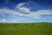 China's Inner Mongolia Autonomous Region, Mongolia agree to promote education cooperation