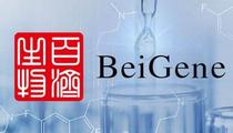 China's BeiGene extends gains on launch of new firm with U.S. biopharma