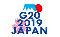 Interview: G20 summit offers chance to exchange views, ease tensions -- expert 