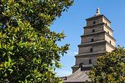 Northwest China's Shaanxi to launch new trial to promote digital economic development 