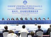 China vows solid efforts in ecological environment protection: vice premier 