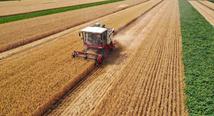 China's agricultural product prices rise 