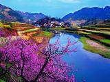 "Hunan Day" observed at horticultural expo 