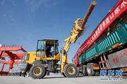 Lanzhou sees more business opportunities in timber trade via freight train