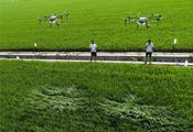 E China's Jiangsu to optimize subsidies on farm machinery purchase