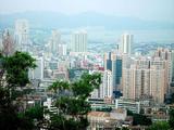 China's supply-side structural reform reaps fruitful results in H1  