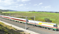 Chinese-built Ethiopia-Djibouti railway wins acclaim for driving Ethiopia's import-export needs 