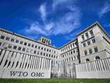 Special treatment for developing members in WTO should be safeguarded: Foreign Ministry 