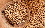 China allows imports of soybean produced throughout Russia