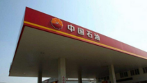 CNPC overseas equity oil, gas output to top 100 mln tonnes in 2020 