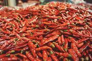 China's Guizhou to hold int'l chili expo in mid-August 