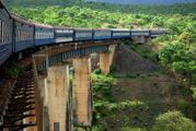 Zambian official hails Chinese support and cooperation