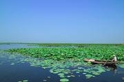 Tourism planning for China's Xiongan New Area completed
