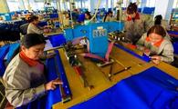 China Focus: Private enterprises help bolster China's high-quality growth