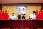 China's Ningbo Zhoushan Port deepens cooperation with Vale of Brazil 