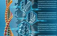 Chinese scientists complete high-resolution 3D genome map of rice