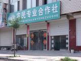 China's rural cooperatives report rising sales in H1