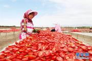 Xinjiang ketchup goes global