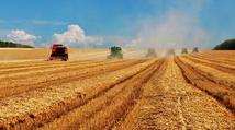 China to see bumper harvest of grains