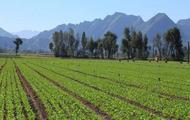 China, ASEAN environmental forum on boosting regional green growth