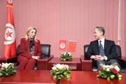 Interview: China's success attributable to its far-sighted policy, says Tunisian minister