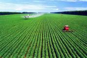 China agriculture expands steadily in first three quarters