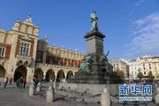 Interview: Poland, China benefit from friendly relations for 70 years, says expert 