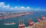 Chinese export insurance company reports steady business growth