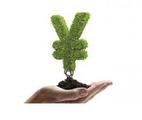 China's green finance market expands steadily: report