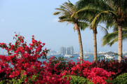 China's resort island Hainan to hold int'l tourism book fair 