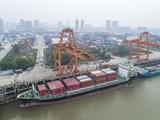 Direct container shipping route opens between Central China's Wuhan and Japan Thu.