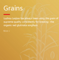 Grains