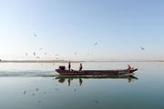 China Focus: Chinese lawmakers urge sustainable use of fishery resources