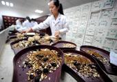 Belt and Road Initiative boosts TCM exchanges
