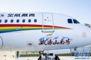 Tibet's civil aviation receives over 5 mln passengers