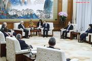 Senior Chinese official calls for implementing BRF consensus