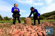 China's poverty reduction achievements remarkable: former Japanese PM