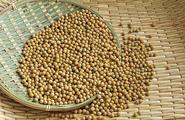 NE China province beefs up soybean production