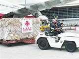 China provides more medical supplies to Cambodia for COVID-19 fight
