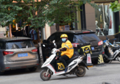Delivery for online orders important in stabilizing employment: report