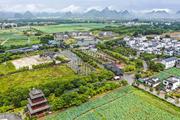 Economic Watch: China's tourism sector eyeing gradual rebound post-epidemic