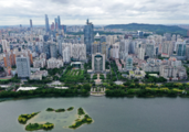Over 10,000 enterprises set up in Guangxi's FTZ