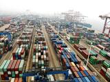 China's forex reserves rise in November