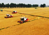 China sees good autumn grain production despite disasters: official