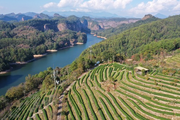 China helps travel agencies tide over epidemic