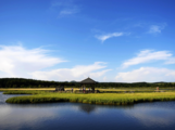 Xinhua Commentary: China's resolute pursuit of reducing carbon emissions 