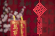 China Focus: Digital currency issued to boost Spring Festival consumption